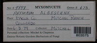 Image Associated With the Occurence